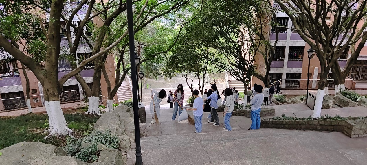 太阳集团tcy8722开展“践行劳动育人实践，增强金融强国本领”主题劳动实践活动